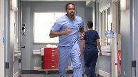Greys Anatomy